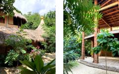 Coline  MARGUIN - COLORAMA DESIGN